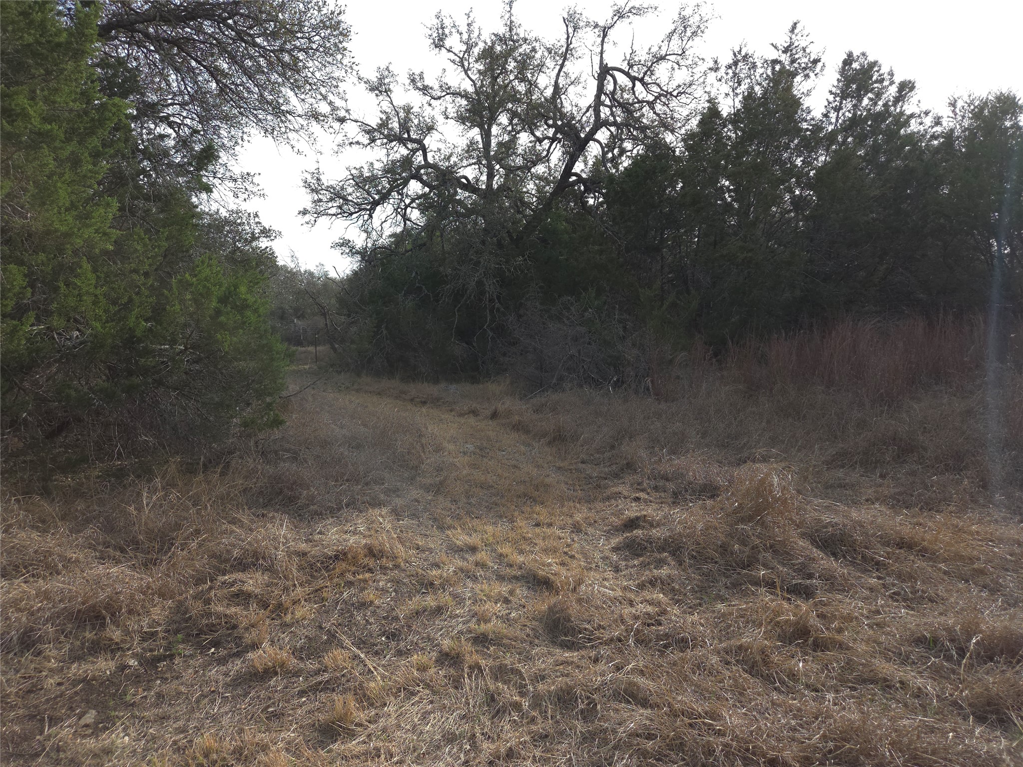 Tbd Oakland Road Georgetown, TX 78633 - Photo 1 of 14 a view of a dry yard with green space