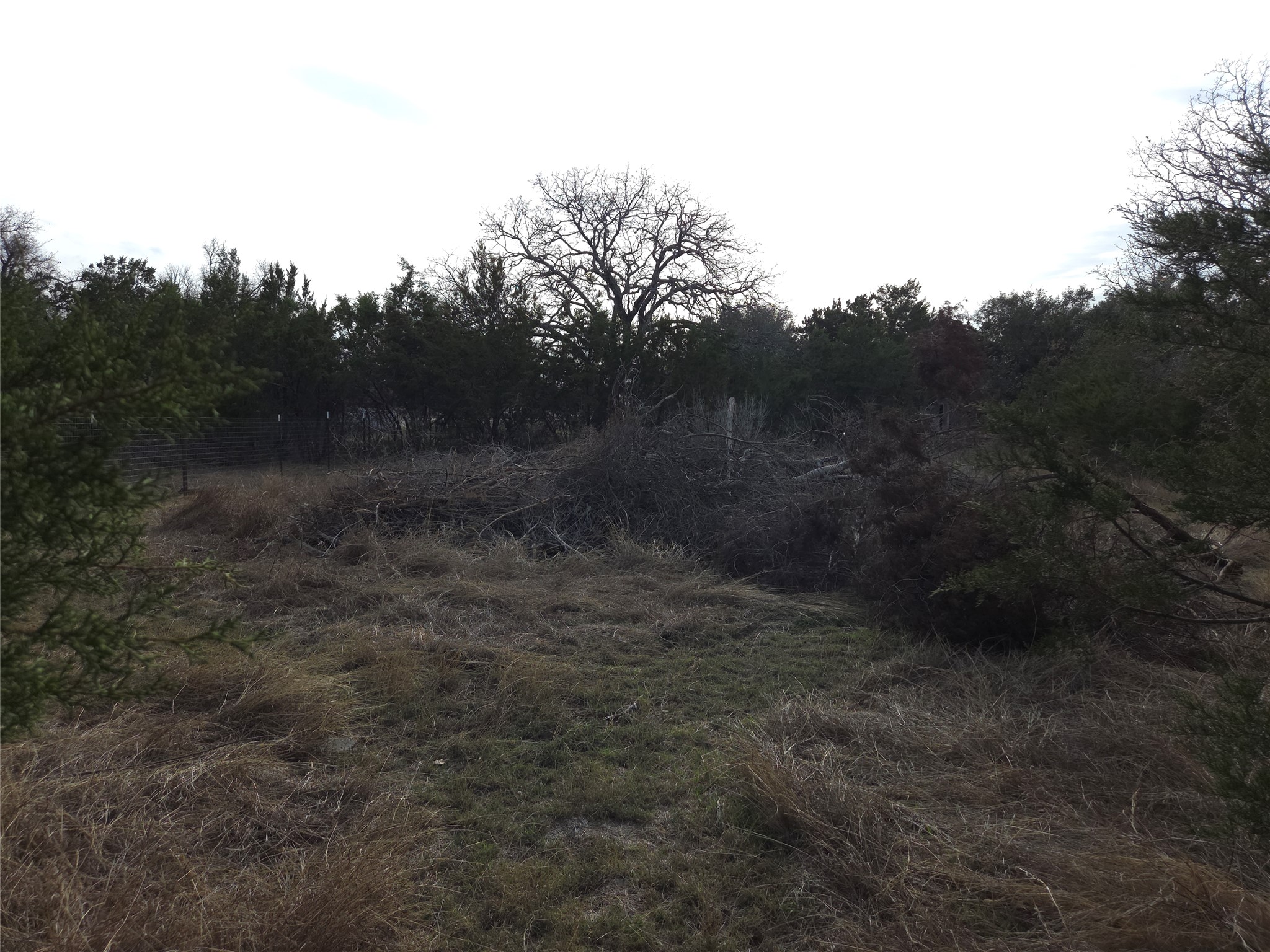 Tbd Oakland Road Georgetown, TX 78633 - Photo 14 of 14 a view of a yard with trees in the background