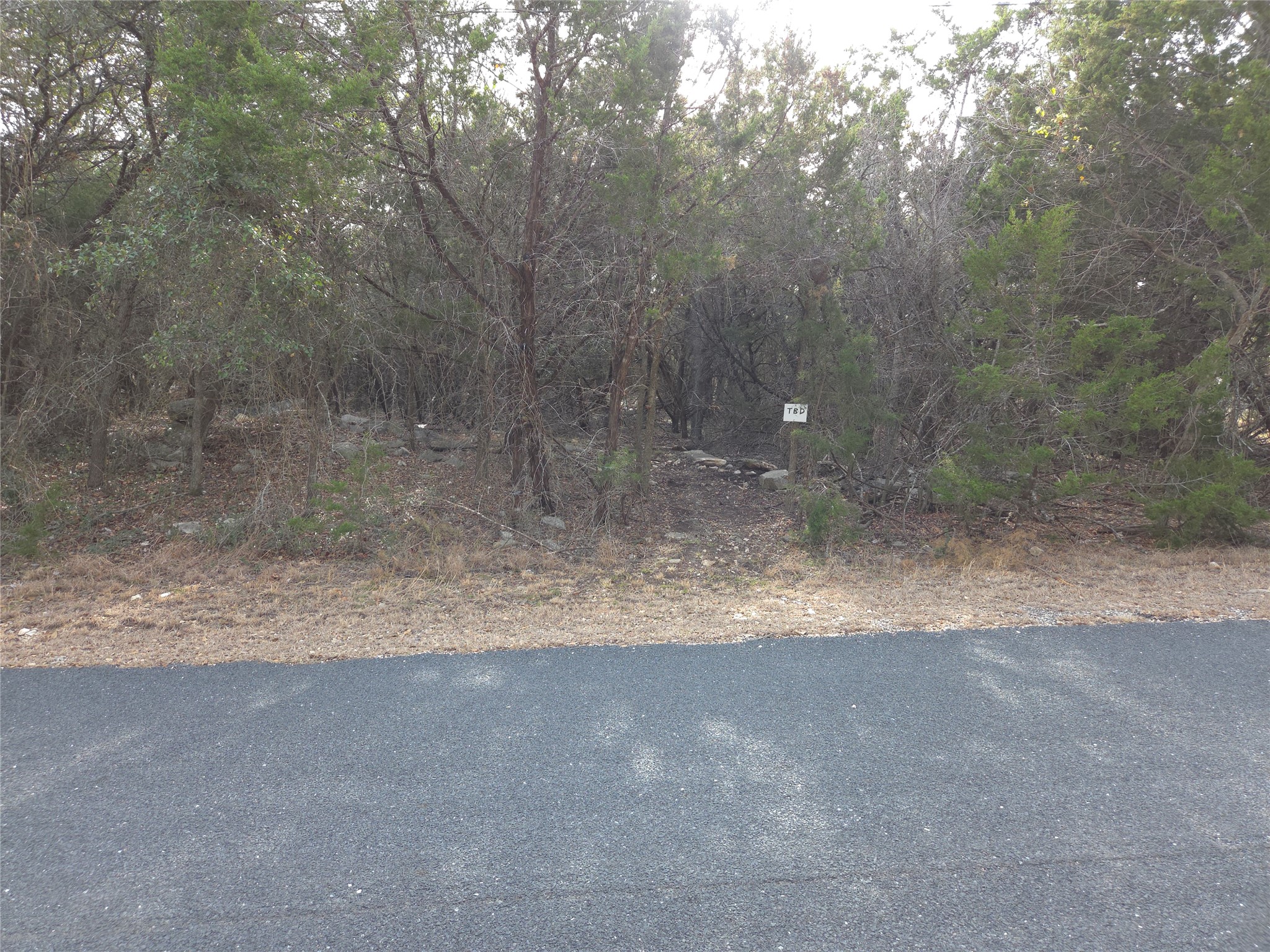 Tbd Oakland Road Georgetown, TX 78633 - Photo 3 of 14 a view of a yard with a tree