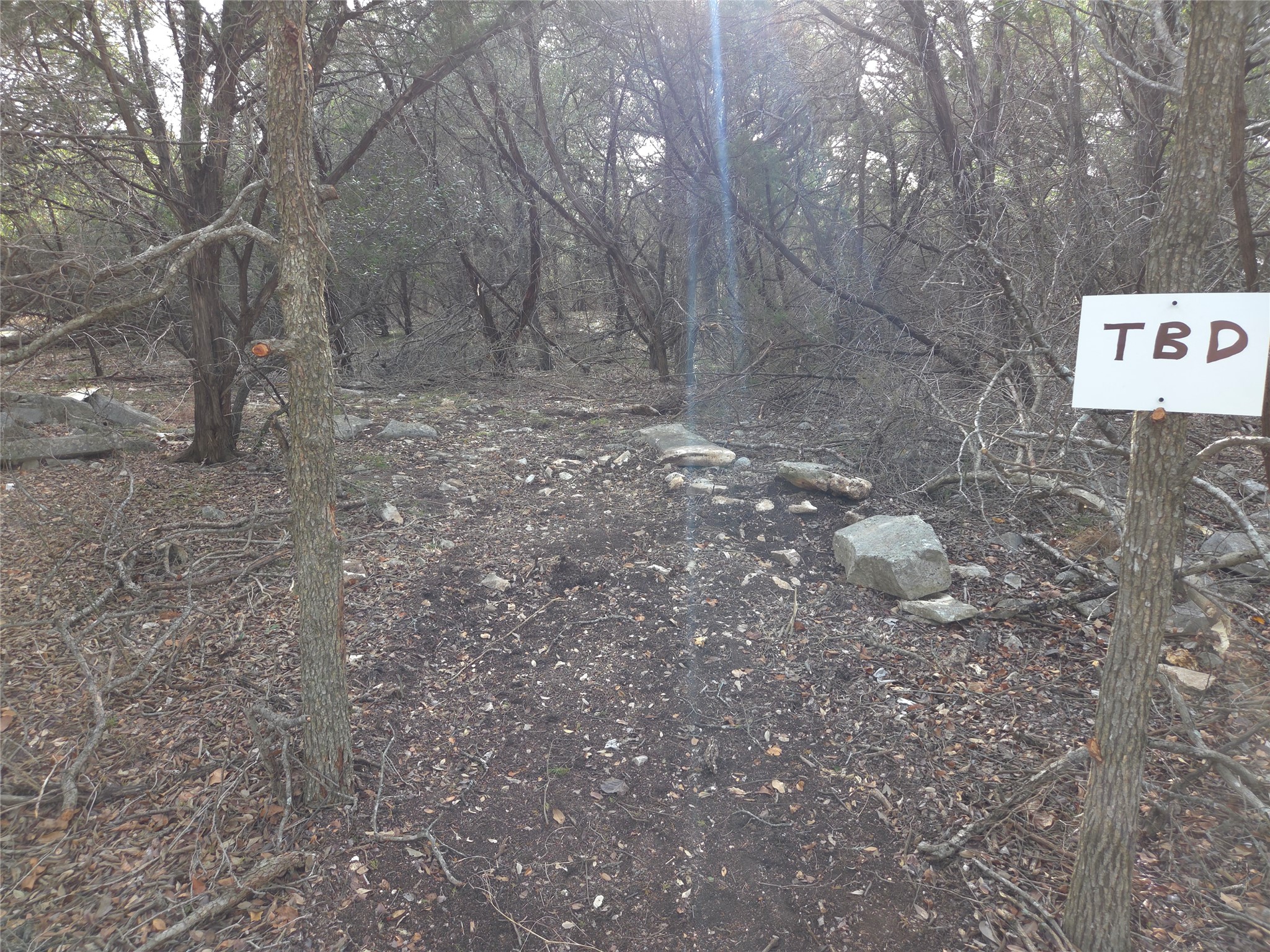 Tbd Oakland Road Georgetown, TX 78633 - Photo 5 of 14 a view of a yard with trees