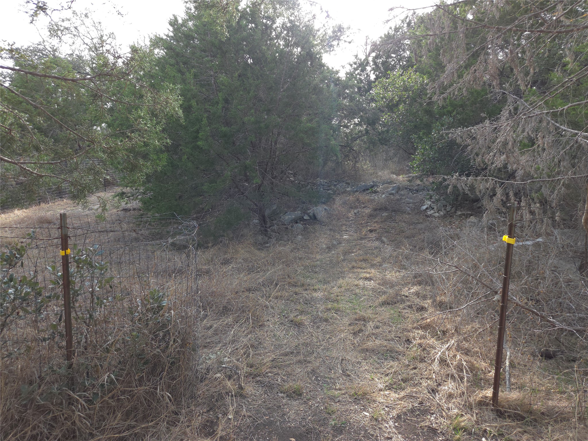Tbd Oakland Road Georgetown, TX 78633 - Photo 9 of 14 a view of a dry yard with trees