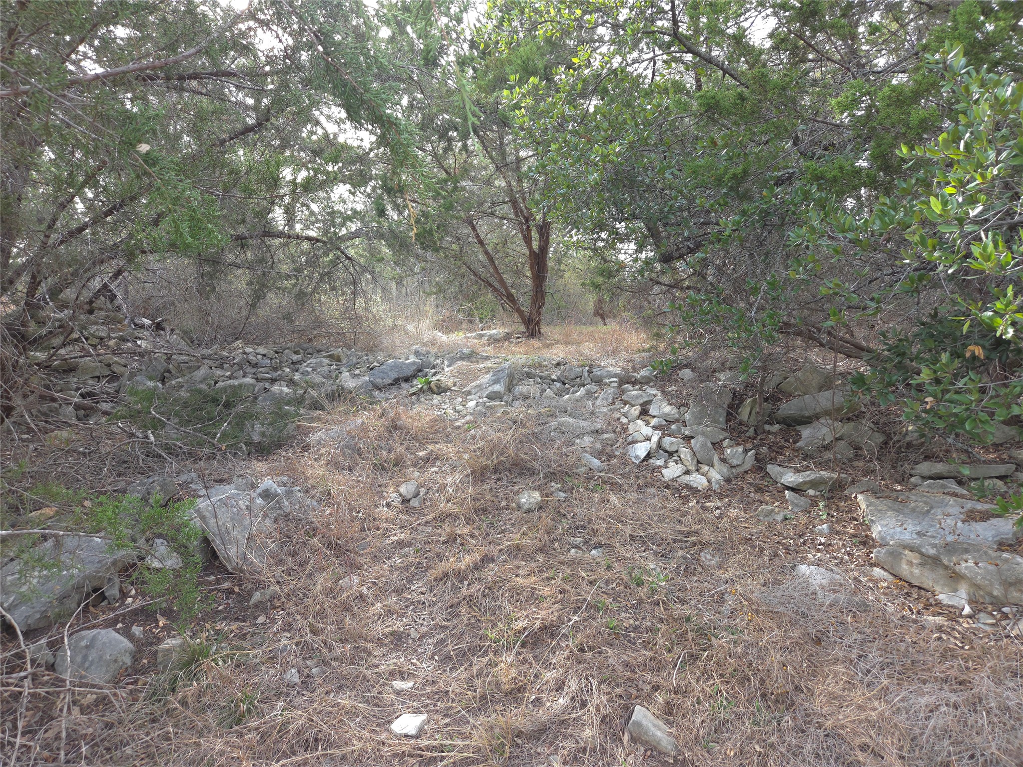 Tbd Oakland Road Georgetown, TX 78633 - Photo 10 of 14 a view of a forest with trees in the background