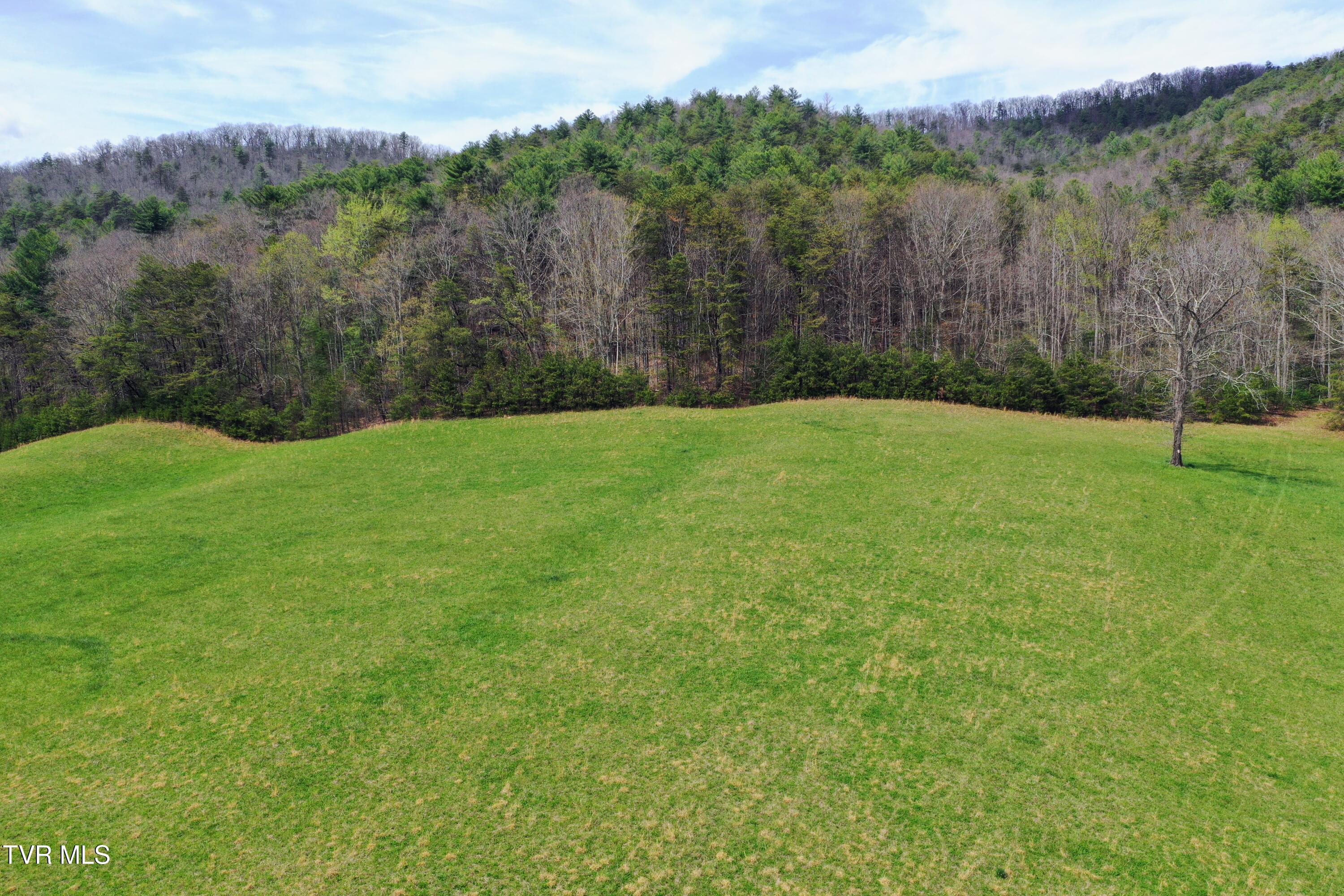 1a Rd Greeneville Tn 37743 Road Greeneville, TN 37743 - Photo 14 of 28 IMG_026