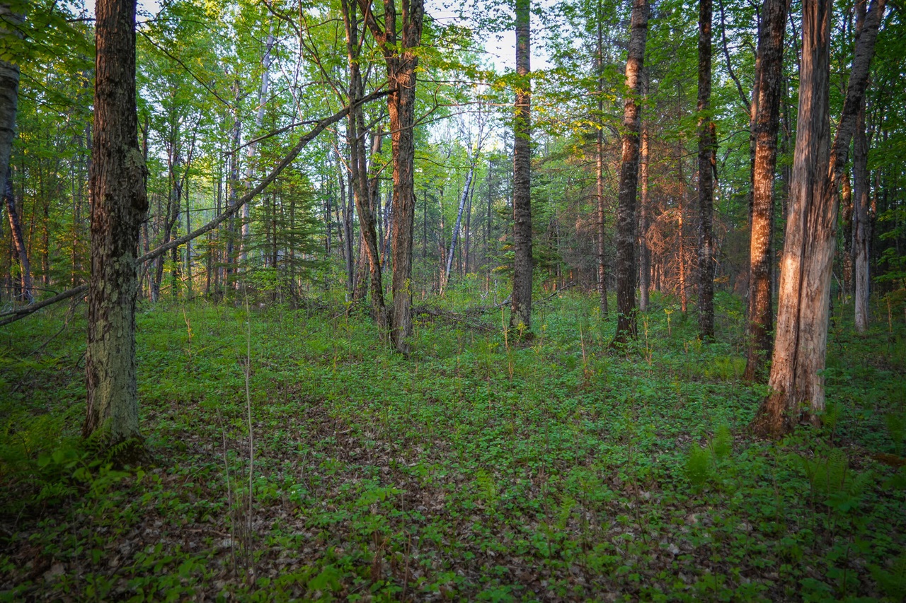 V/l V/l 33rd Road Gladstone, MI 49837 - Photo 58 of 70