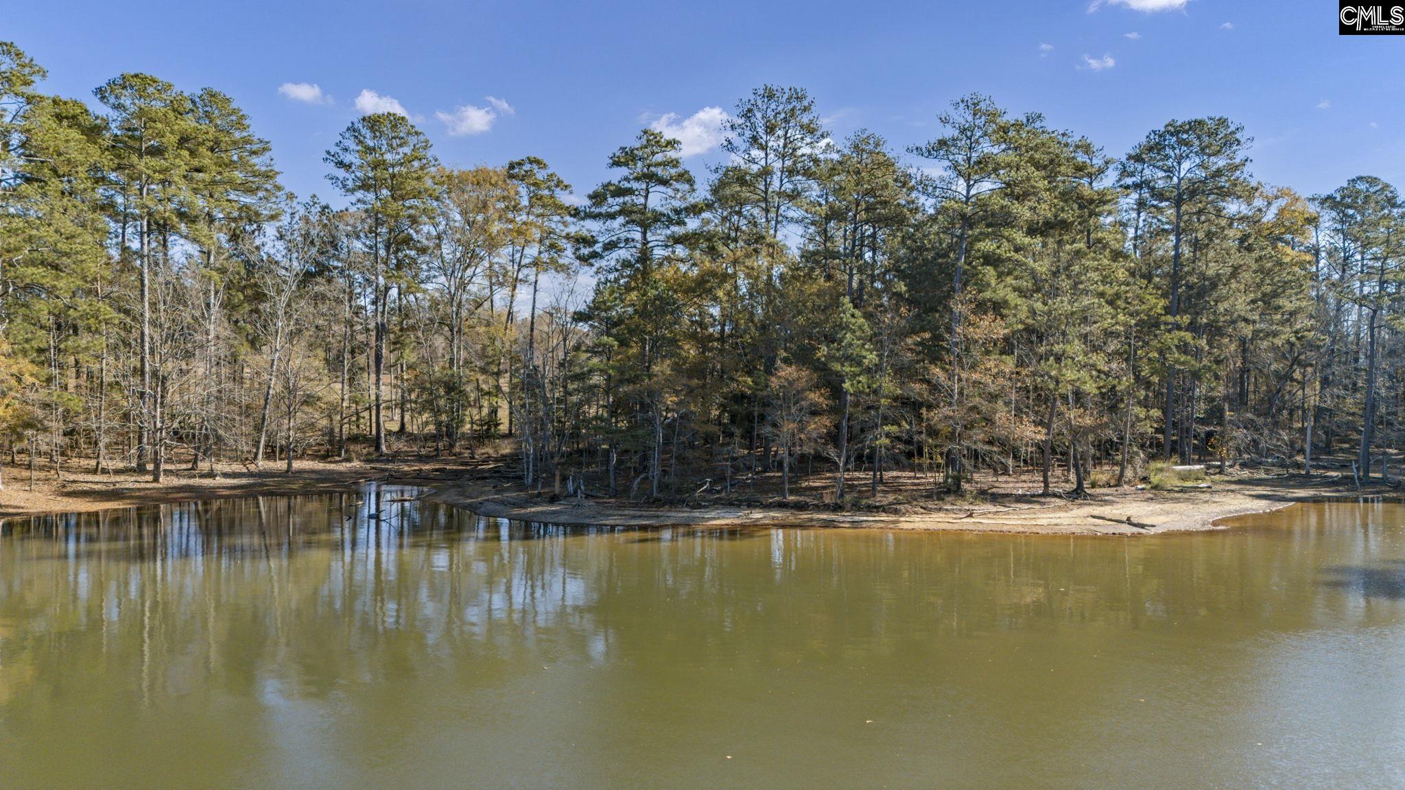 0 Navigator Trail Prosperity, SC 29127 - Photo 6 of 29