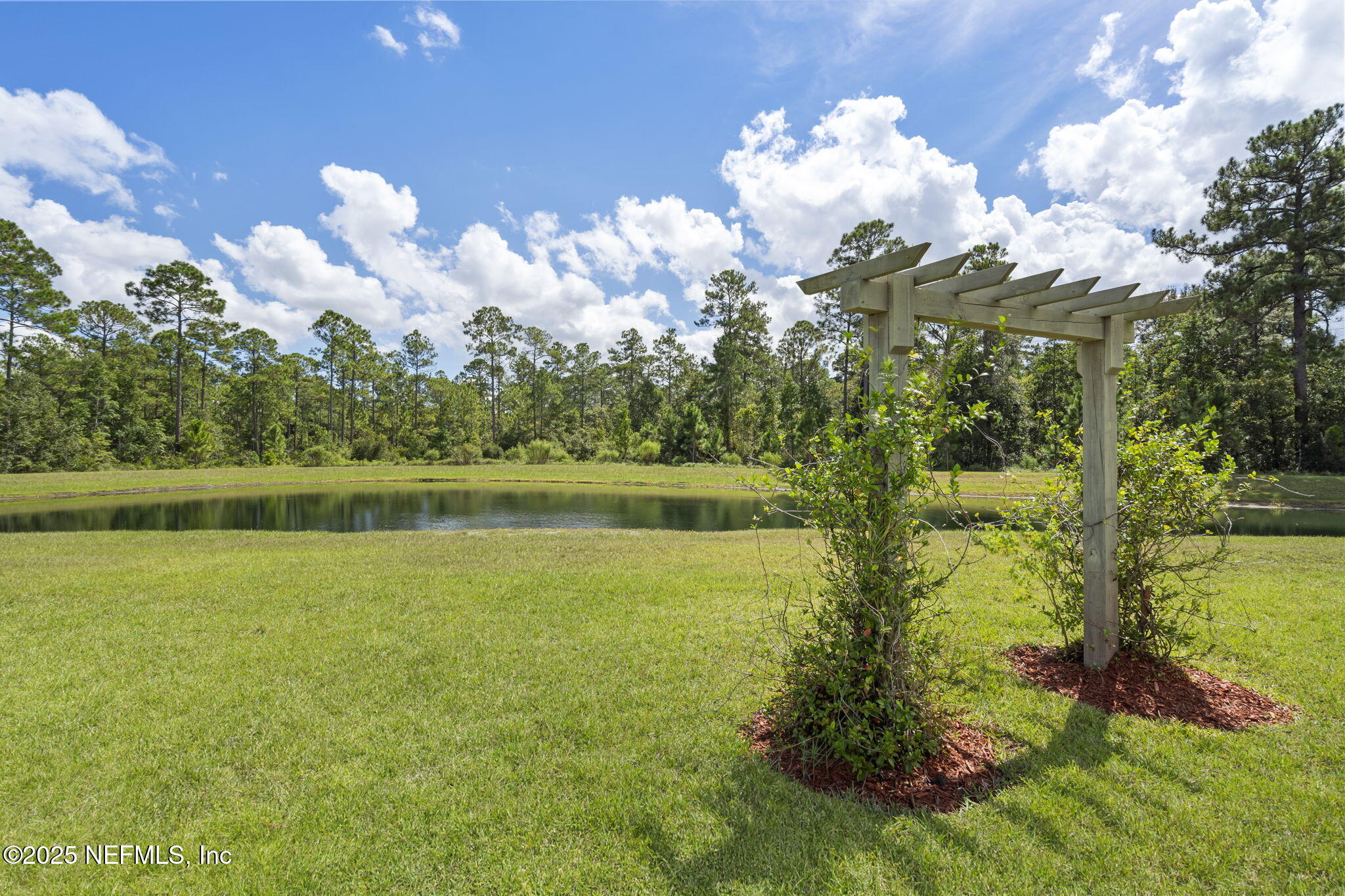 4368 Green River Place Middleburg, FL 32068 - Photo 33 of 50 51-web-or-mls-DSC07135a