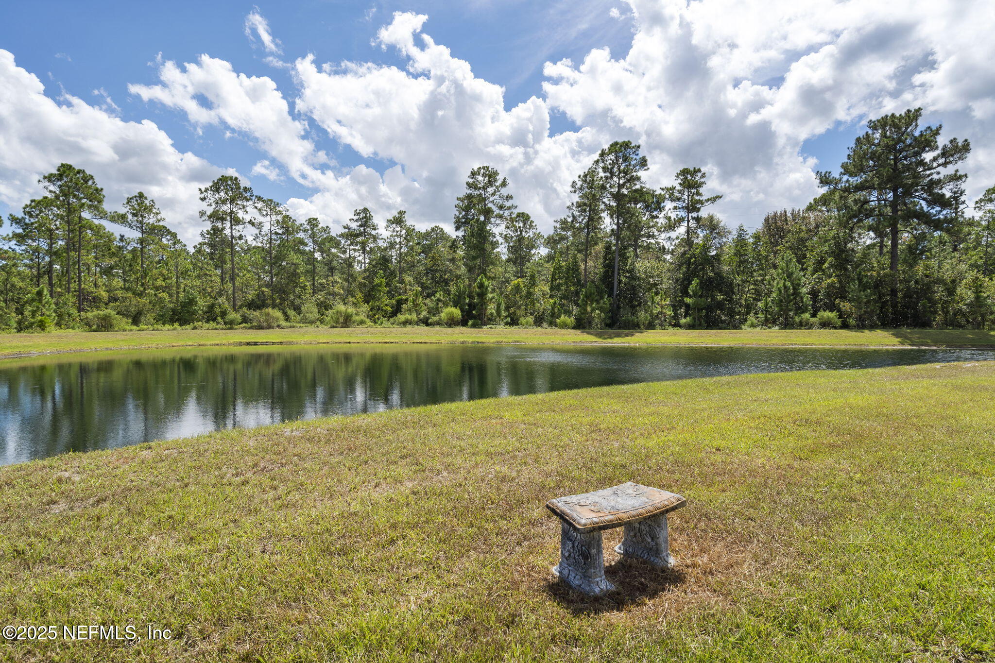 4368 Green River Place Middleburg, FL 32068 - Photo 34 of 50 60-web-or-mls-DSC07168