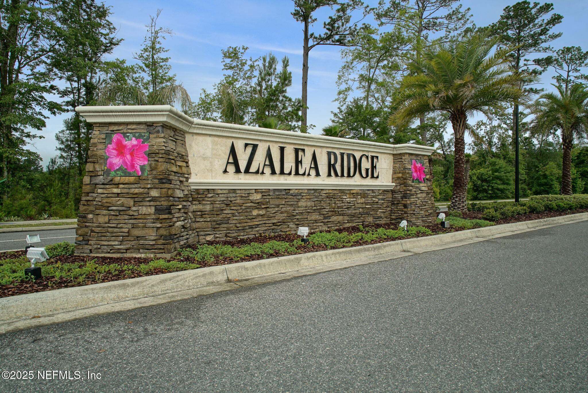 4368 Green River Place Middleburg, FL 32068 - Photo 36 of 50 70-web-or-mls-DSC05210_1