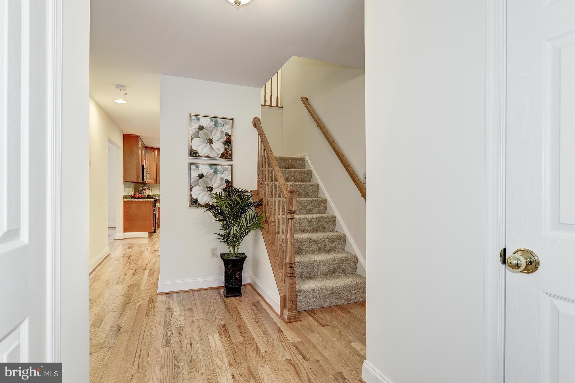 2813 Jutland Road Kensington, MD 20895 - Photo 2 of 29 Interior (General)