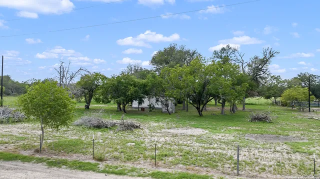 a view of a park with large trees