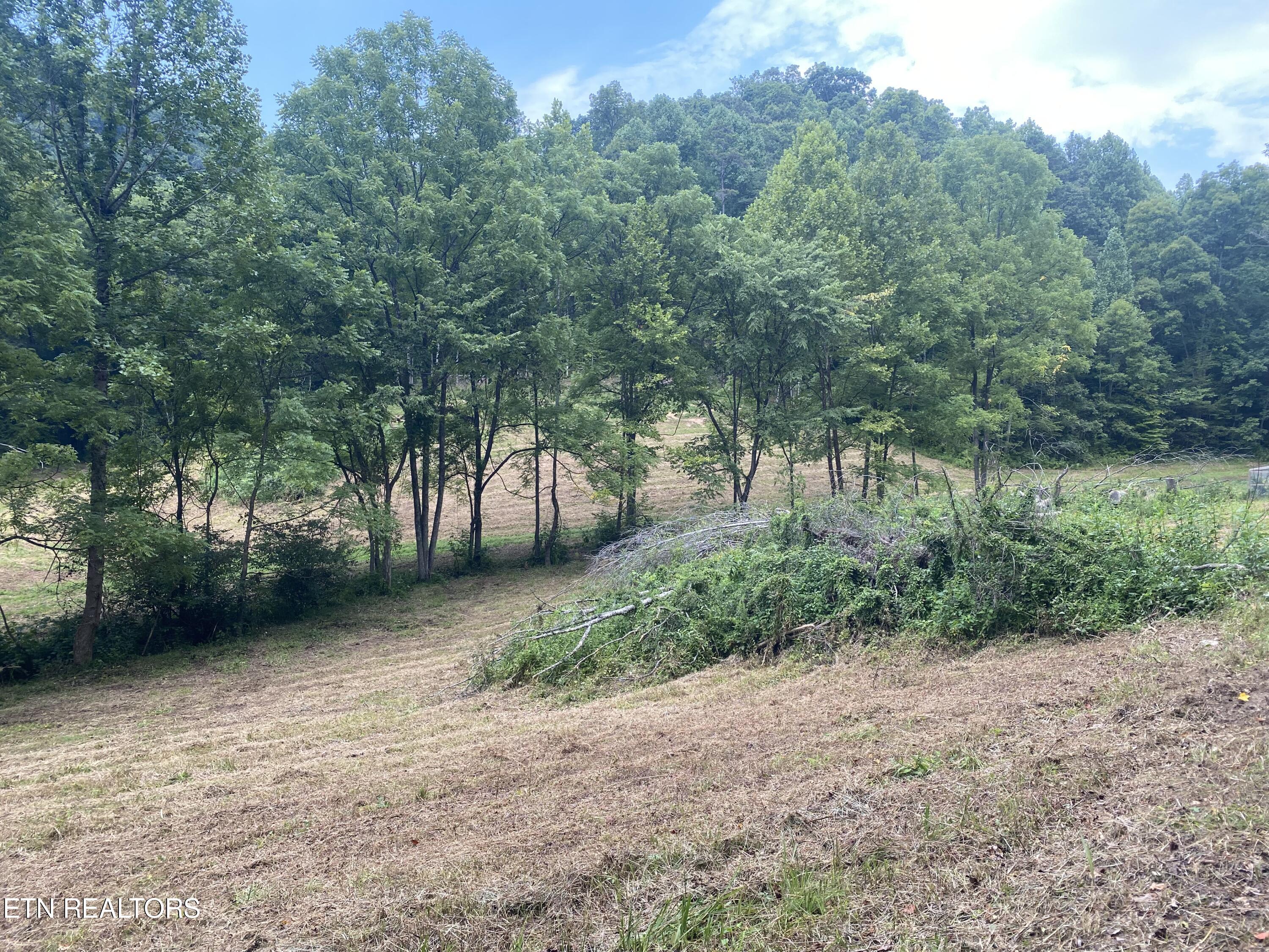 1088 Jones Ridge Road Speedwell, TN 37870 - Photo 42 of 53 IMG_0754