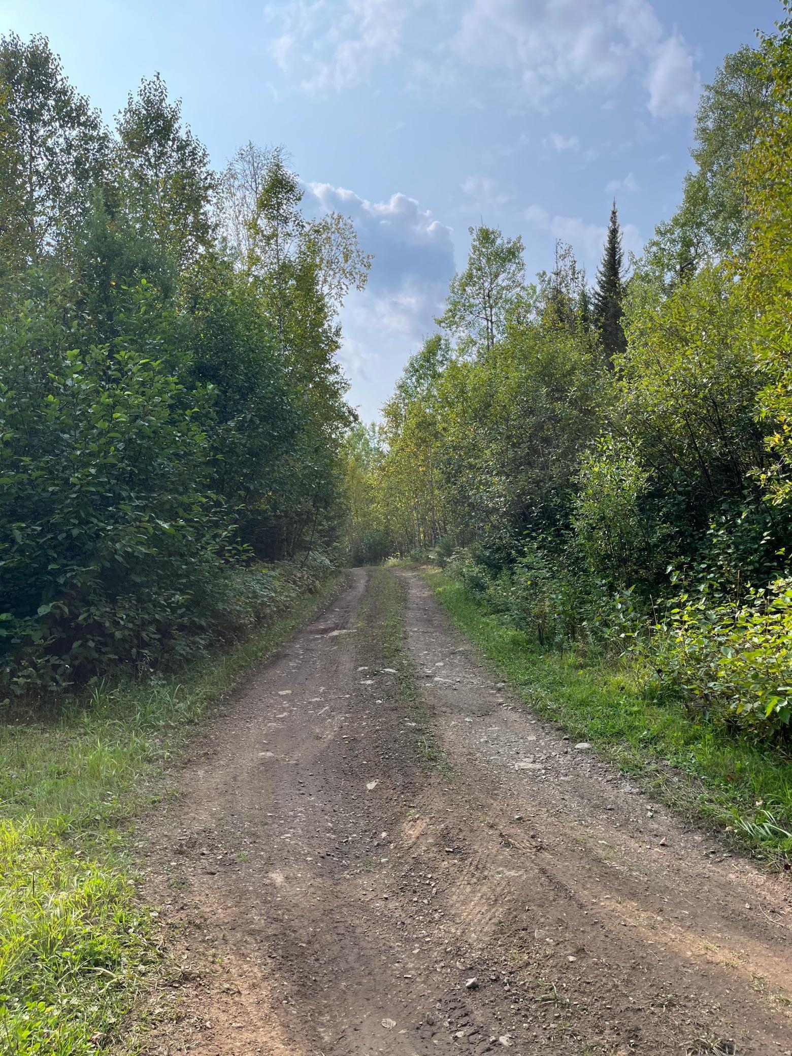 Tbd South Lost Lake Road Grand Marais, MN 55604 - Photo 3 of 6