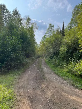 $62,000 | Tbd South Lost Lake Road, Grand Marais, MN 55604