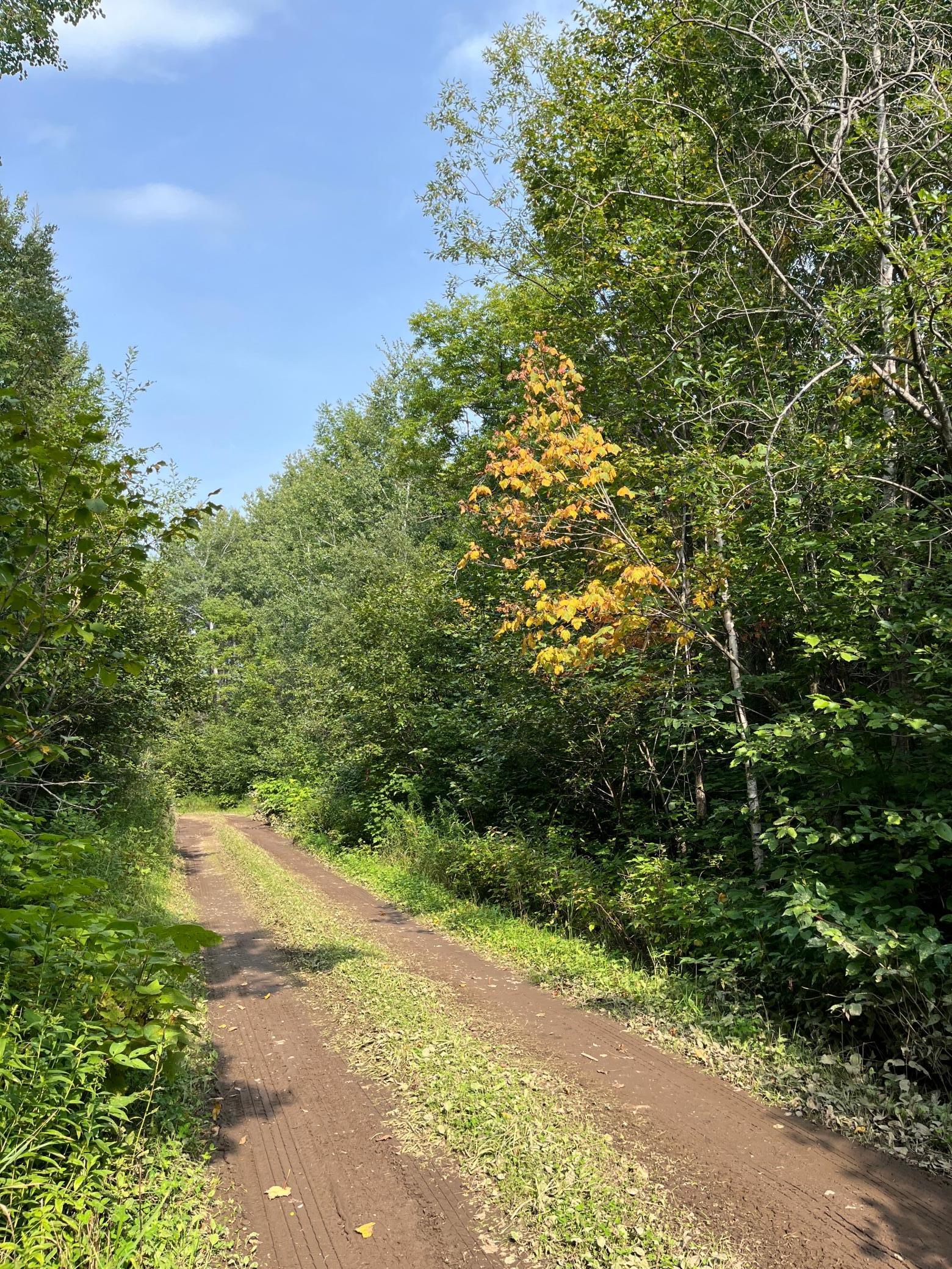 Tbd South Lost Lake Road Grand Marais, MN 55604 - Photo 4 of 6