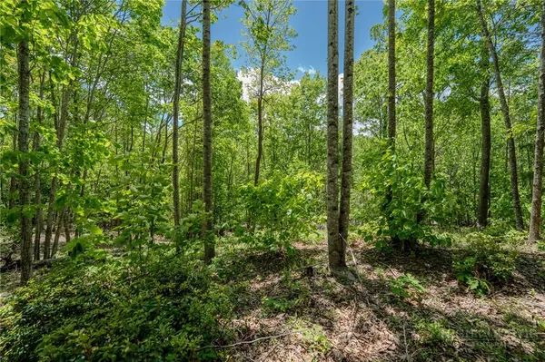 $155,000 | 0 Beaver Dam Road, Elk Park, NC 28622