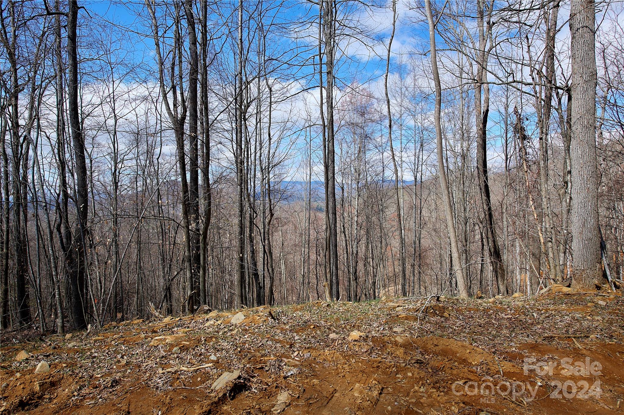 0 Pebble Ridge Road, Unit 33R Spruce Pine, NC 28777 - Photo 1 of 6 Gallery Image 1