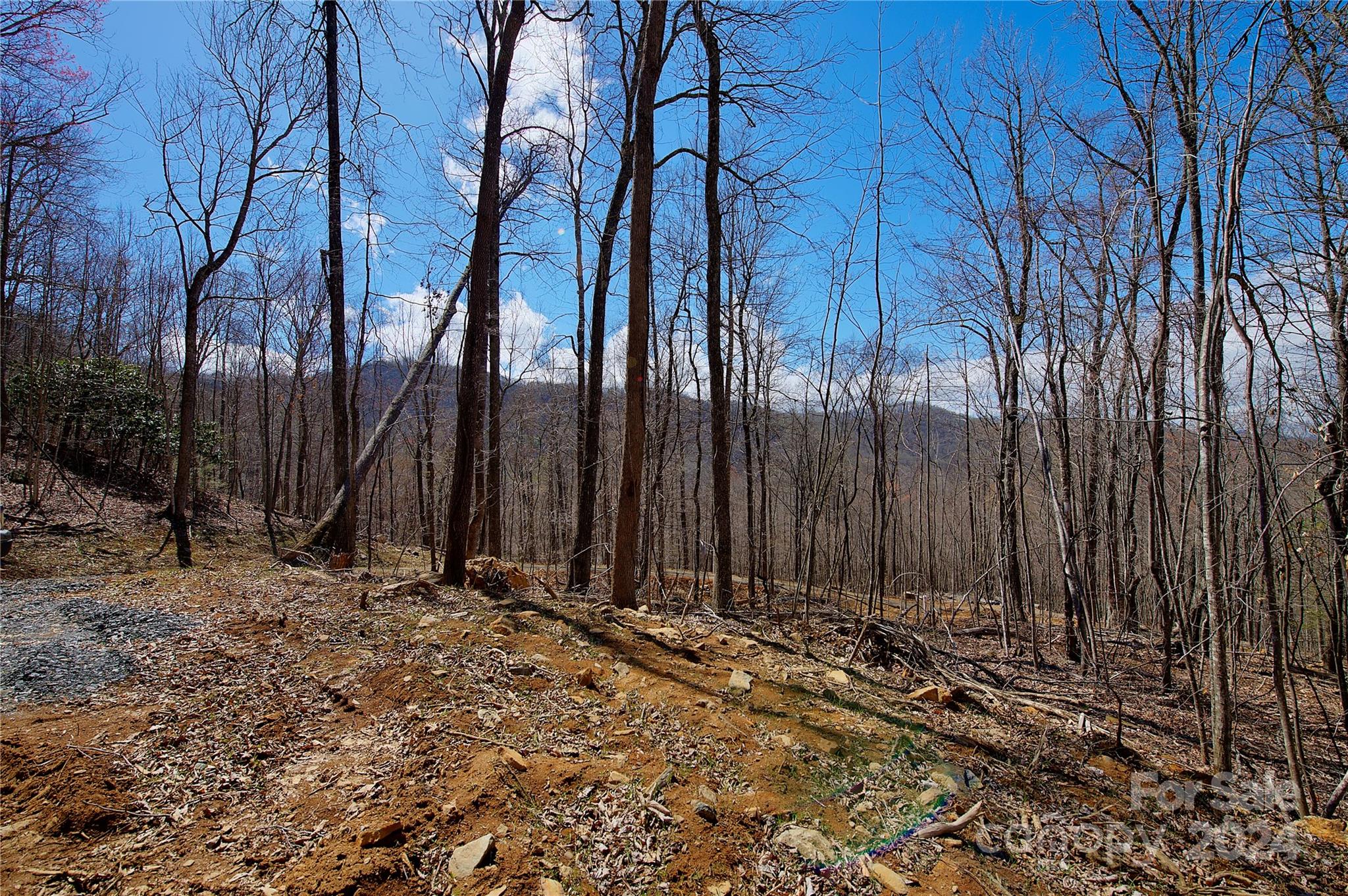 0 Pebble Ridge Road, Unit 33R Spruce Pine, NC 28777 - Photo 3 of 6 Gallery Image 3