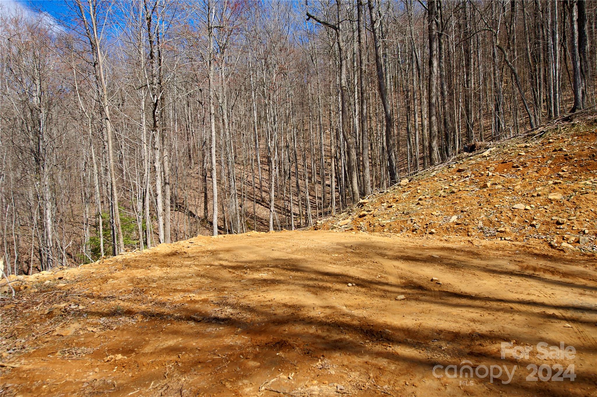 0 Pebble Ridge Road, Unit 33R Spruce Pine, NC 28777 - Photo 4 of 6 Gallery Image 4