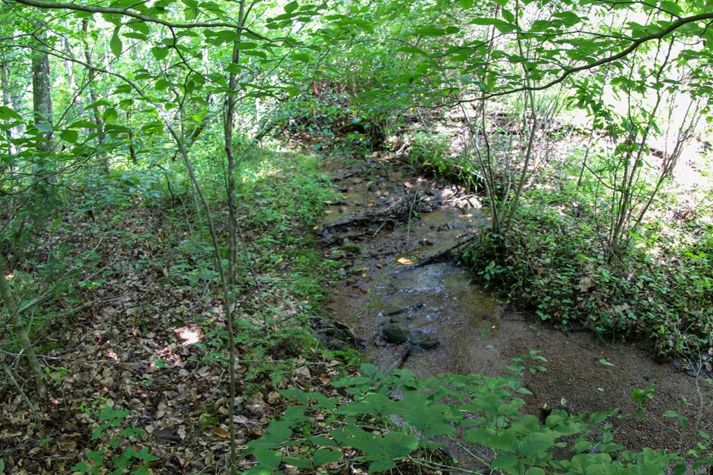 0 Morrison Lane Stuart, VA 24171 - Photo 14 of 24 Gallery Image 14