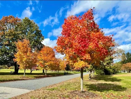 $599,000 | 17 Ransom Road, Framingham, MA 01702