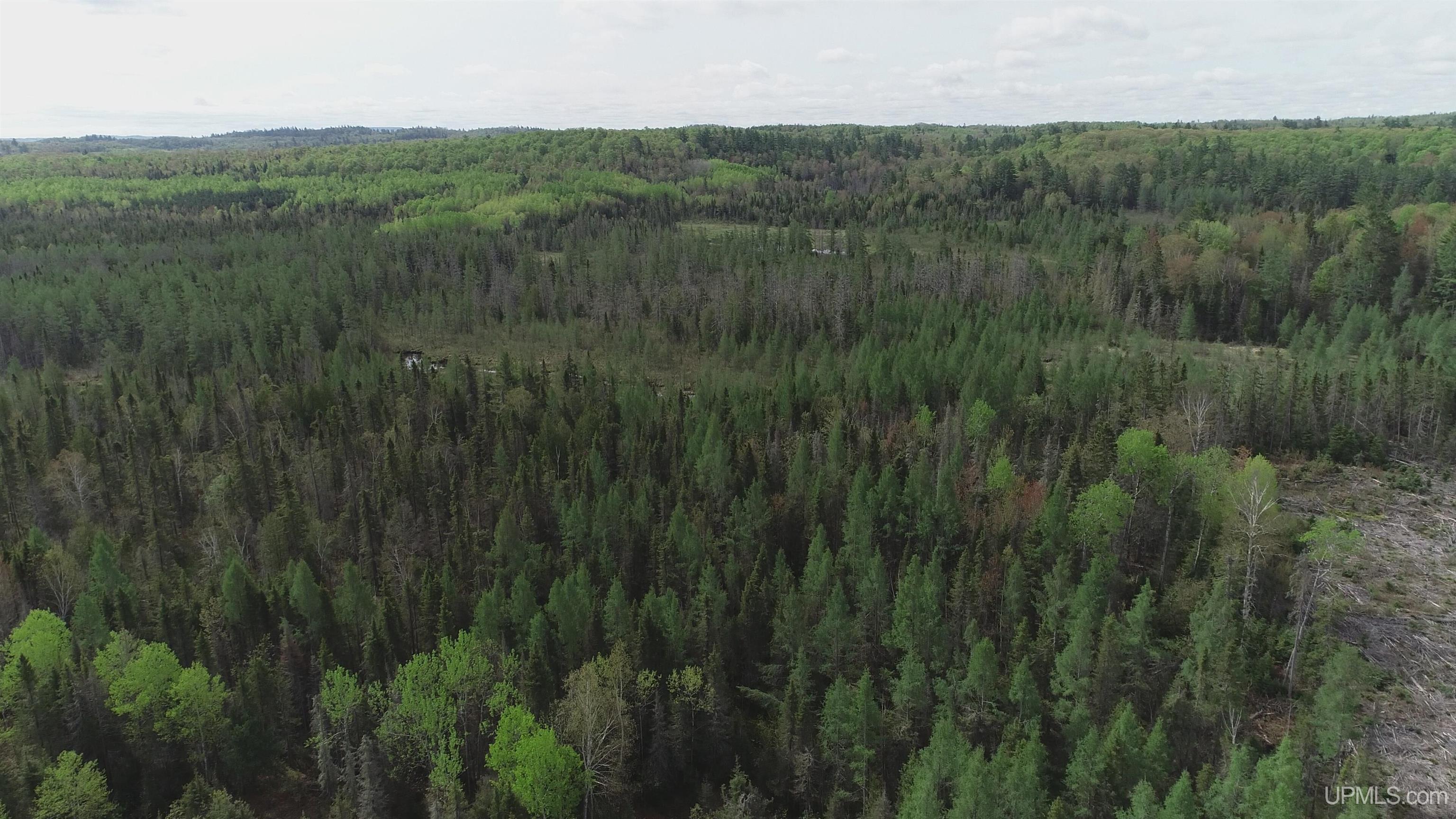 280-acres County Road CCN Road Negaunee, MI 49866 - Photo 2 of 48
