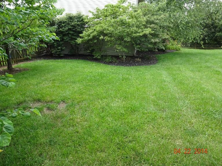 4237 Ridgewater Drive Lexington, KY 40515 - Photo 47 of 55 Photo 48