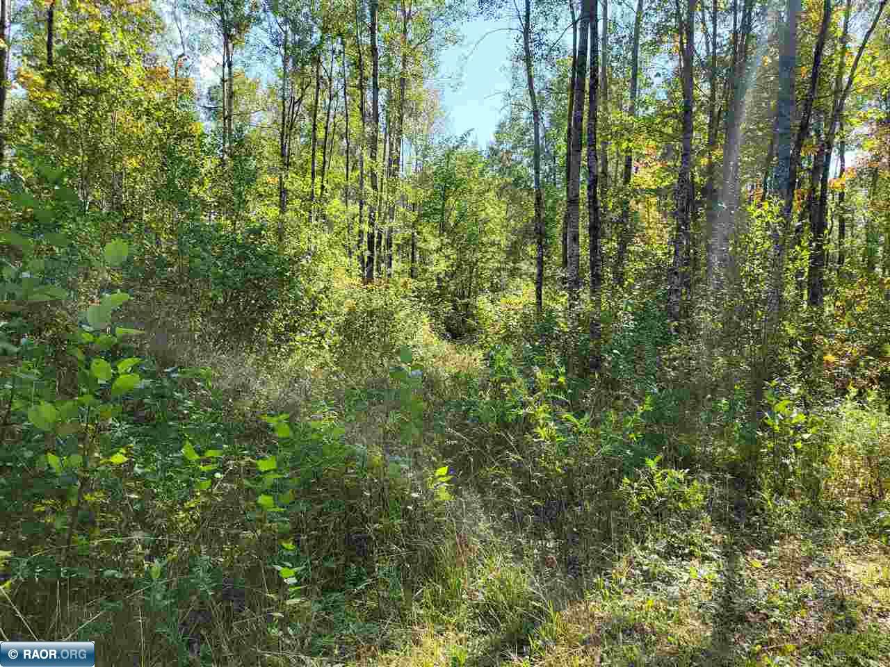 6575 Etelainen Road Brimson, MN 55602 - Photo 11 of 21