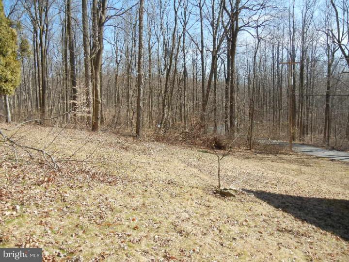 206 Treichler Road Alburtis, PA 18011 - Photo 3 of 10 Gallery Image 3