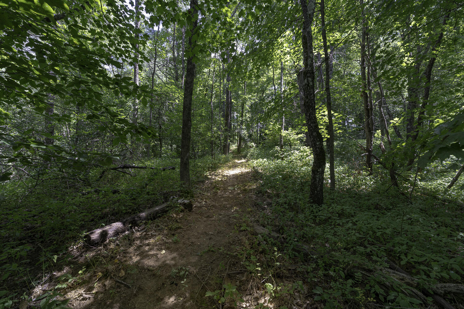 748 Royalsborough Road Durham, ME 04222 - Photo 75 of 86 748 Royalsborough -025