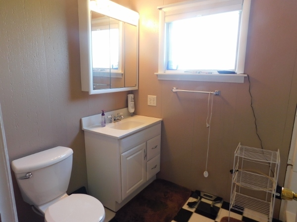 8388 South Brooklyn Road Rochelle, IL 61068 - Photo 17 of 32 a bathroom with a toilet sink and mirror