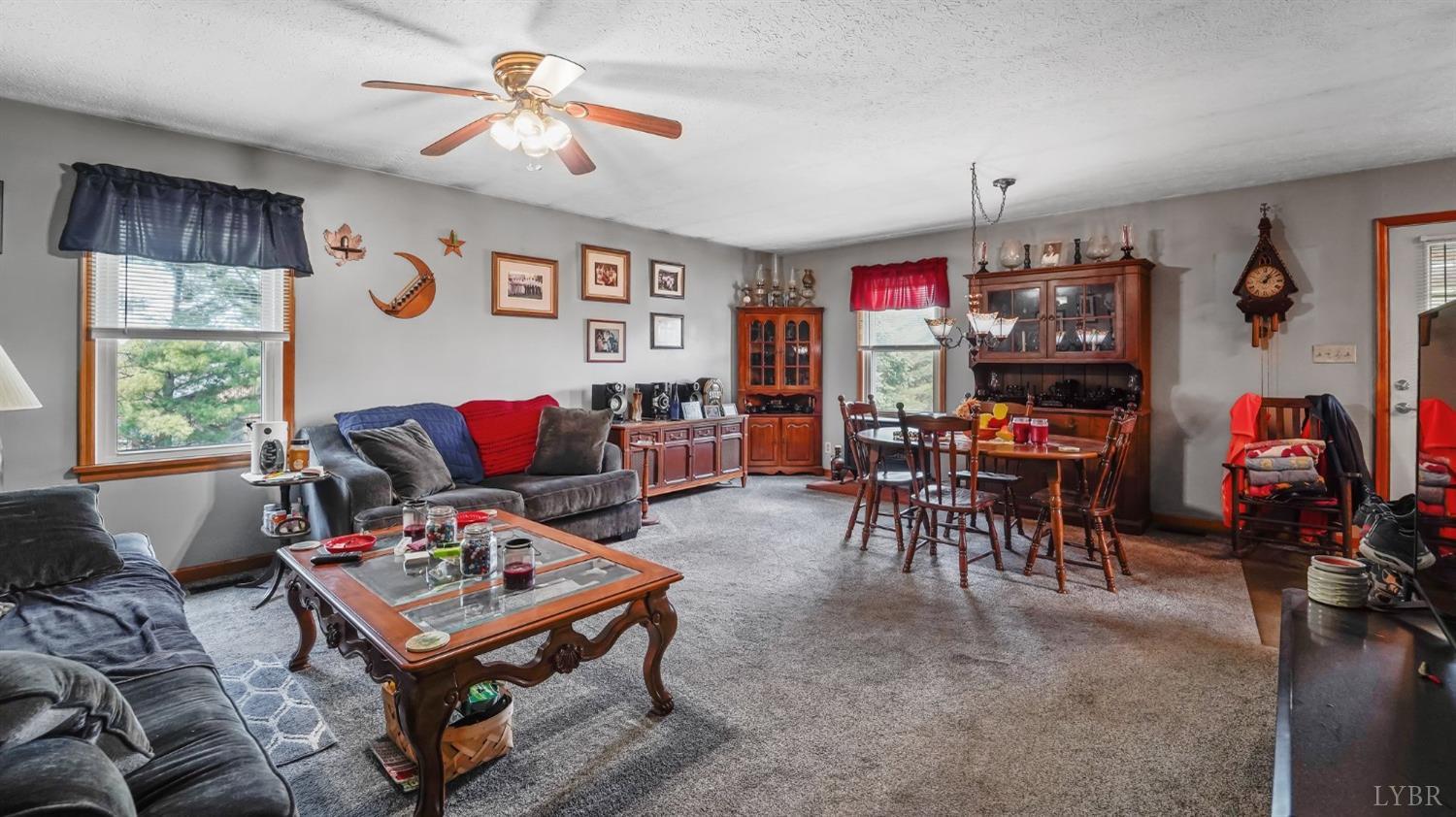 1295 Phoebe Pond Road Concord, VA 24538 - Photo 12 of 38 Living room (apartment)