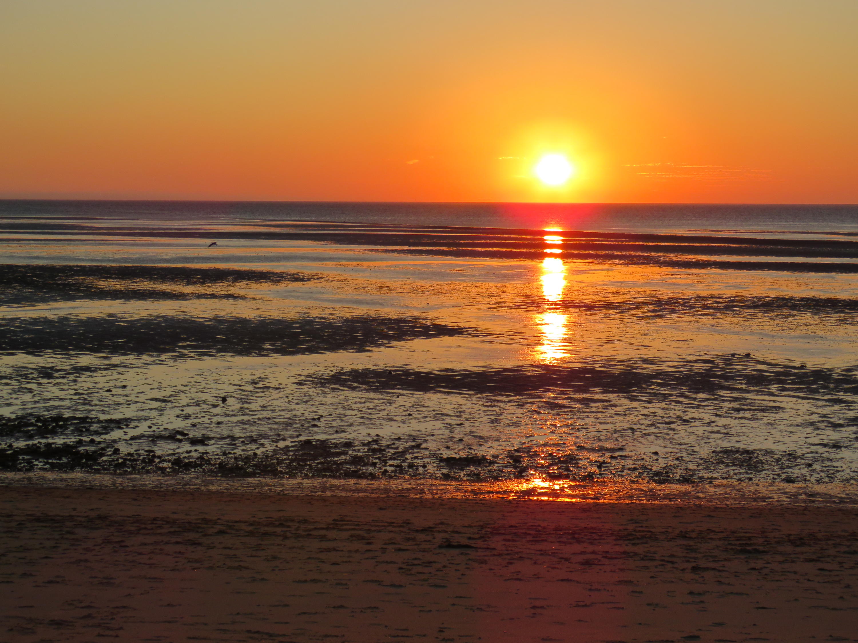 65 Steele Road Eastham, MA 02642 - Photo 24 of 26 Gorgeous Sunsets