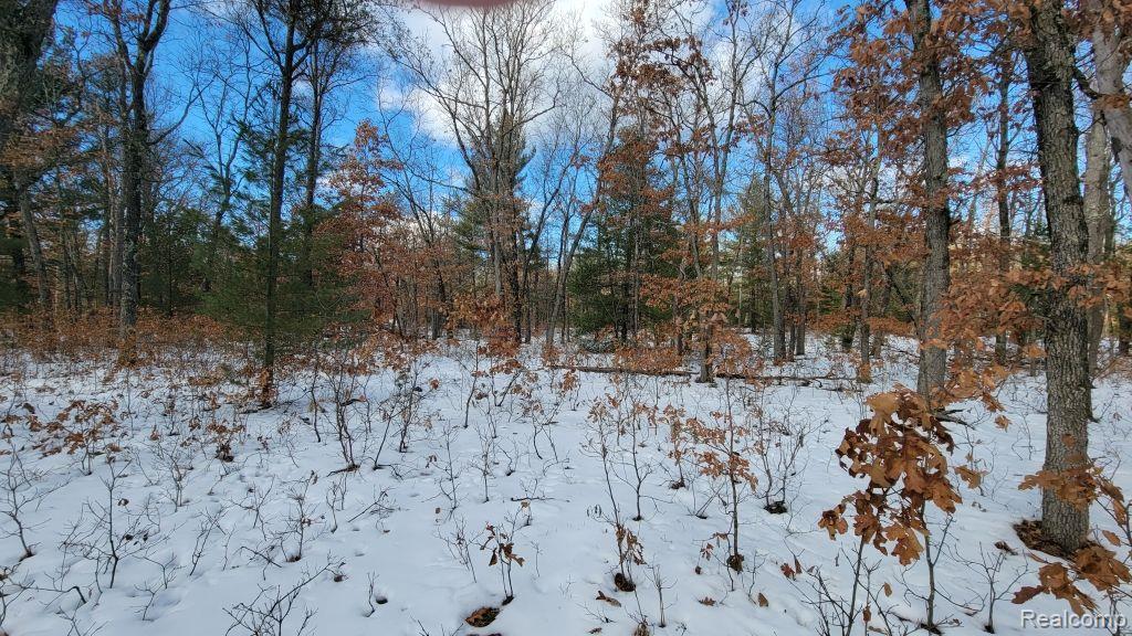 8879 9 Mile Bridge Road Manistee, MI 49660 - Photo 14 of 34