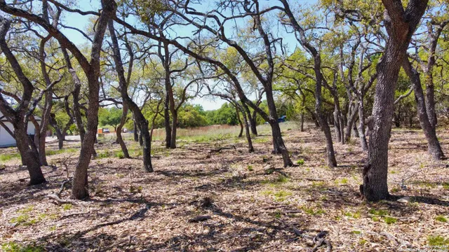 $128,000 | 109 South Jesse Stiff, Blanco, TX 78606