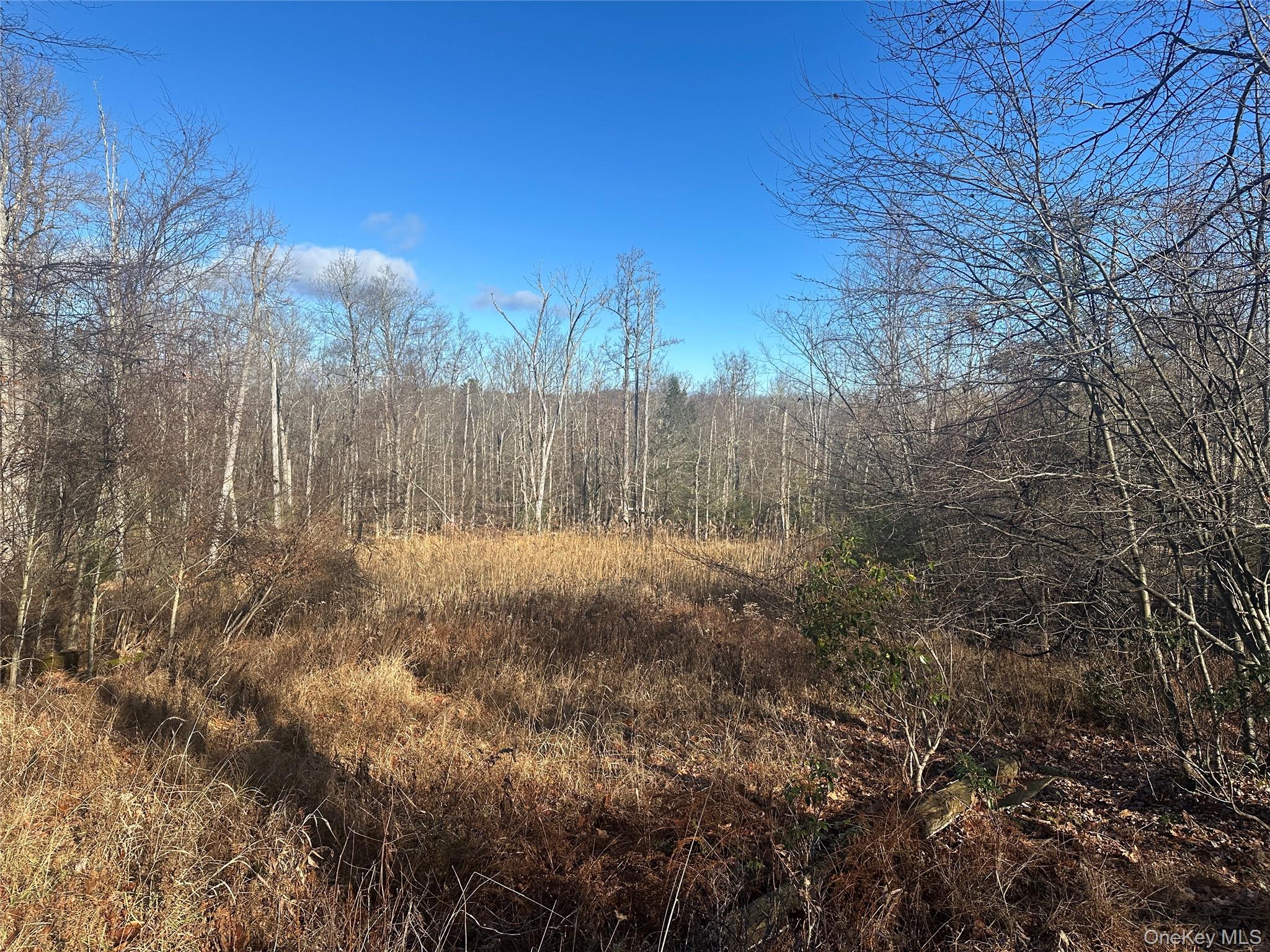 Oak Ridge Ellenville, NY 12428 - Photo 4 of 8 a view of a yard