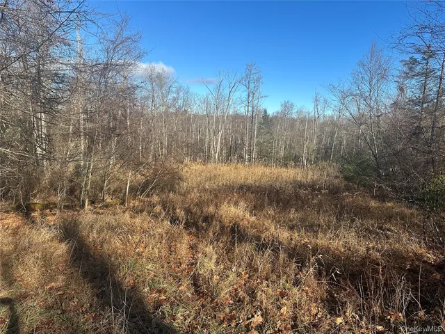 a view of a yard with a tree