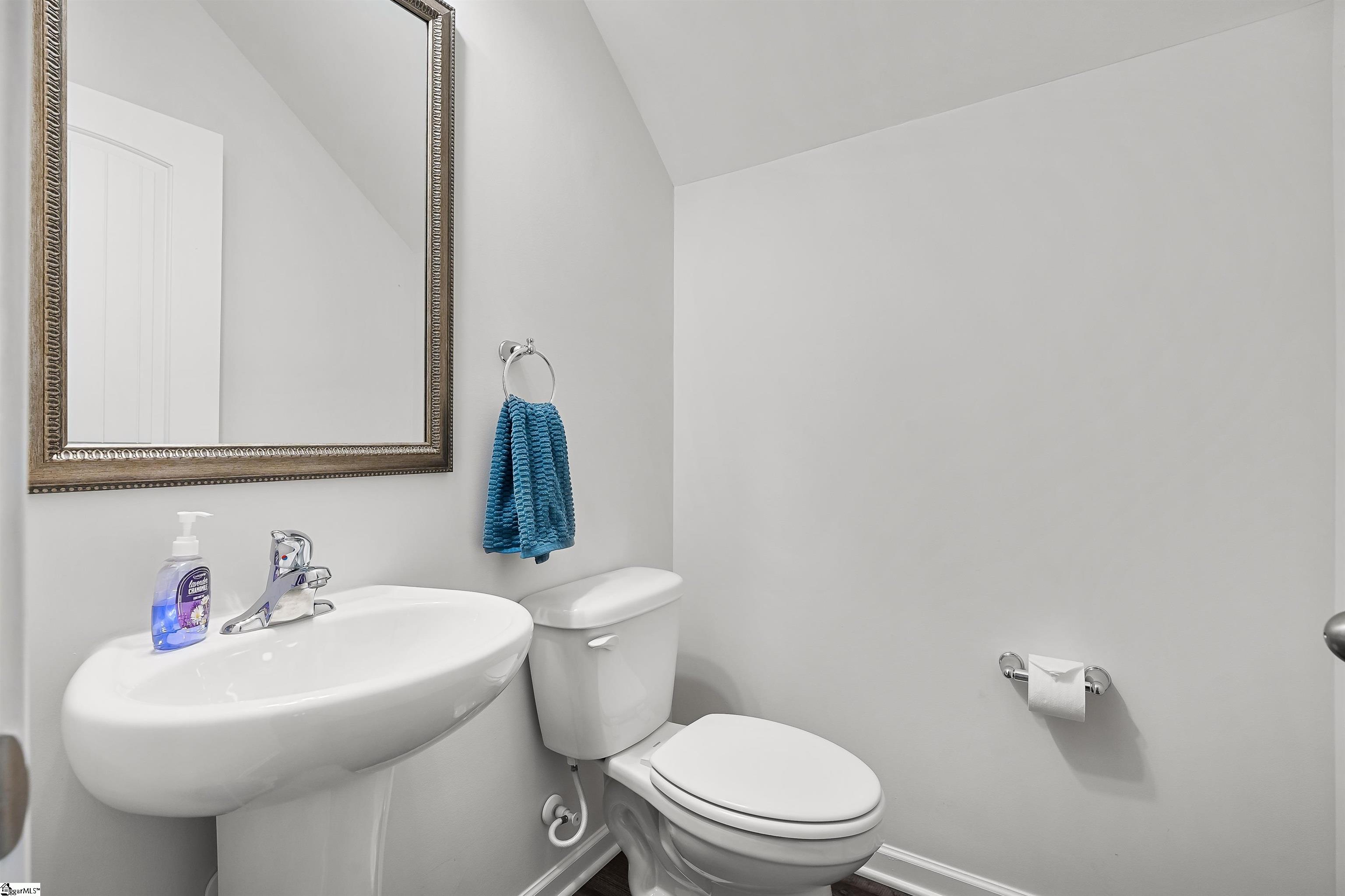 204 Tralee Drive Pendleton, SC 29670 - Photo 20 of 41