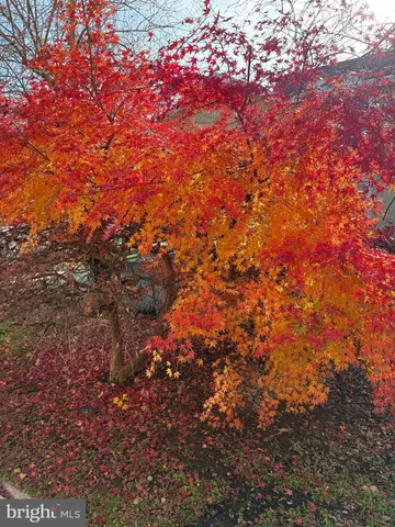 $2,000 | 7330 Sycamore Avenue, Unit 2, Elkins Park, PA 19027