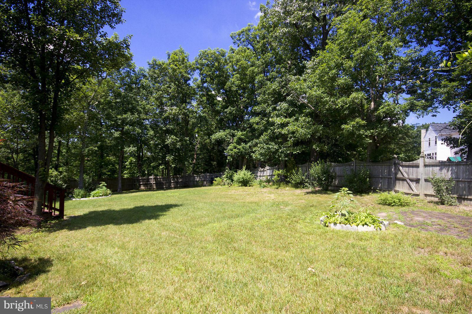 138 Charlton Road Winchester, VA 22602 - Photo 26 of 30 a yard with a trees in the background