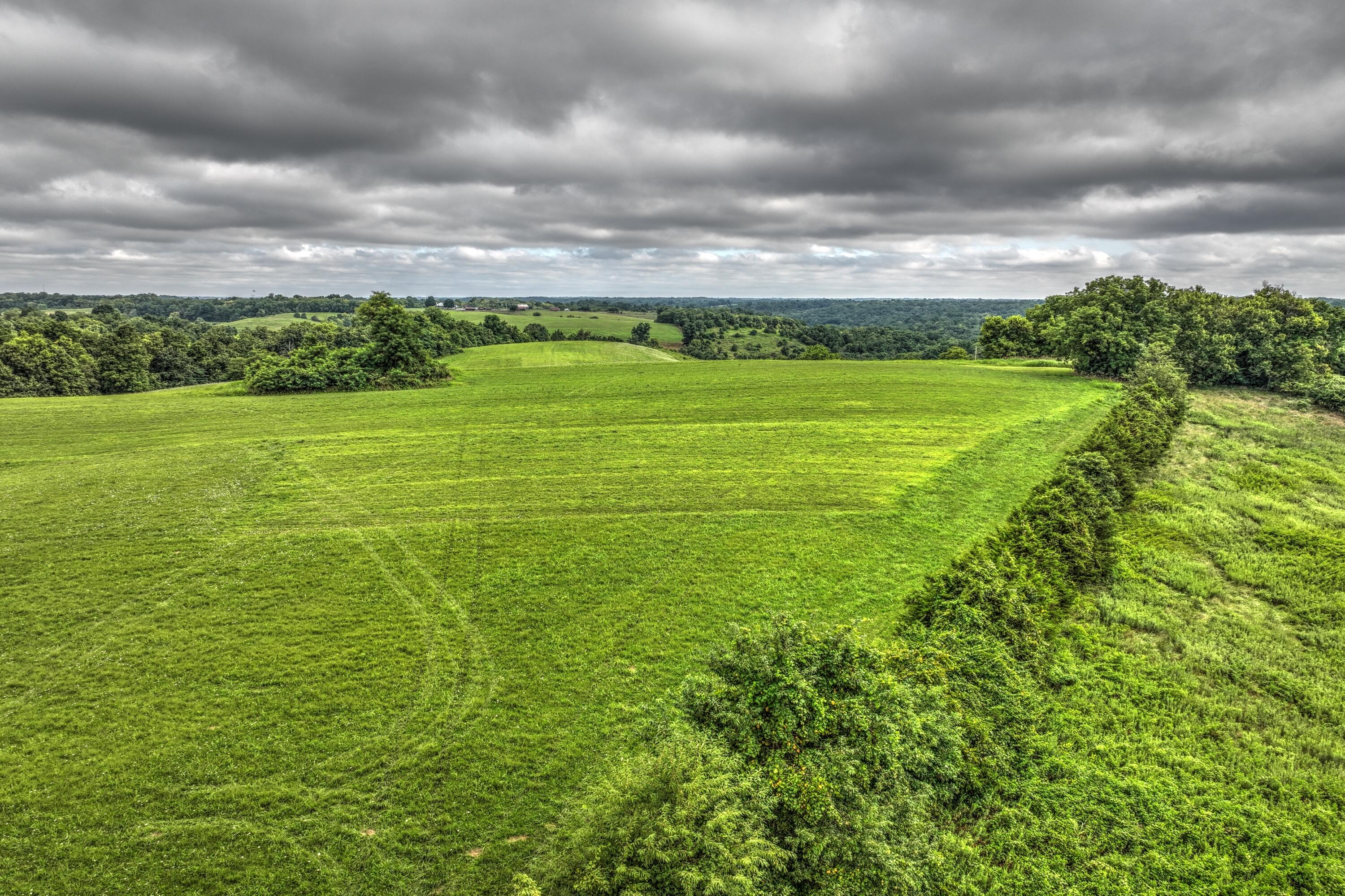 317 Cane Run Road Carlisle, KY 40311 - Photo 50 of 74 DJI_0191_2_3