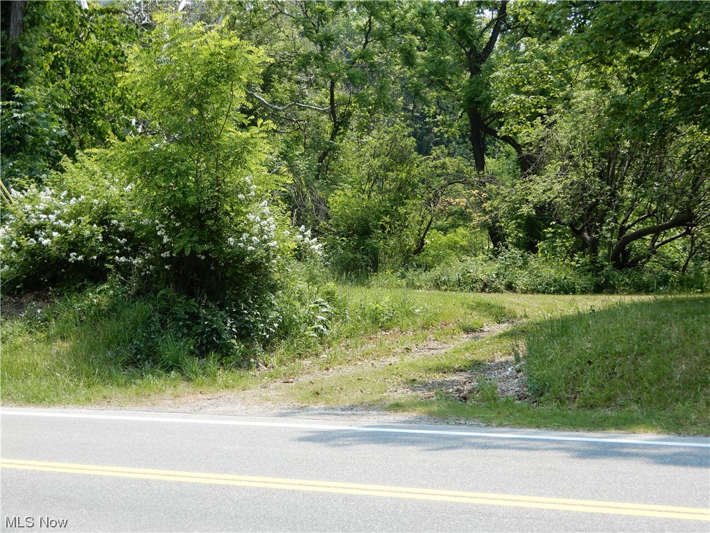 South Ridge Road Madison, OH 44057 - Photo 2 of 8
