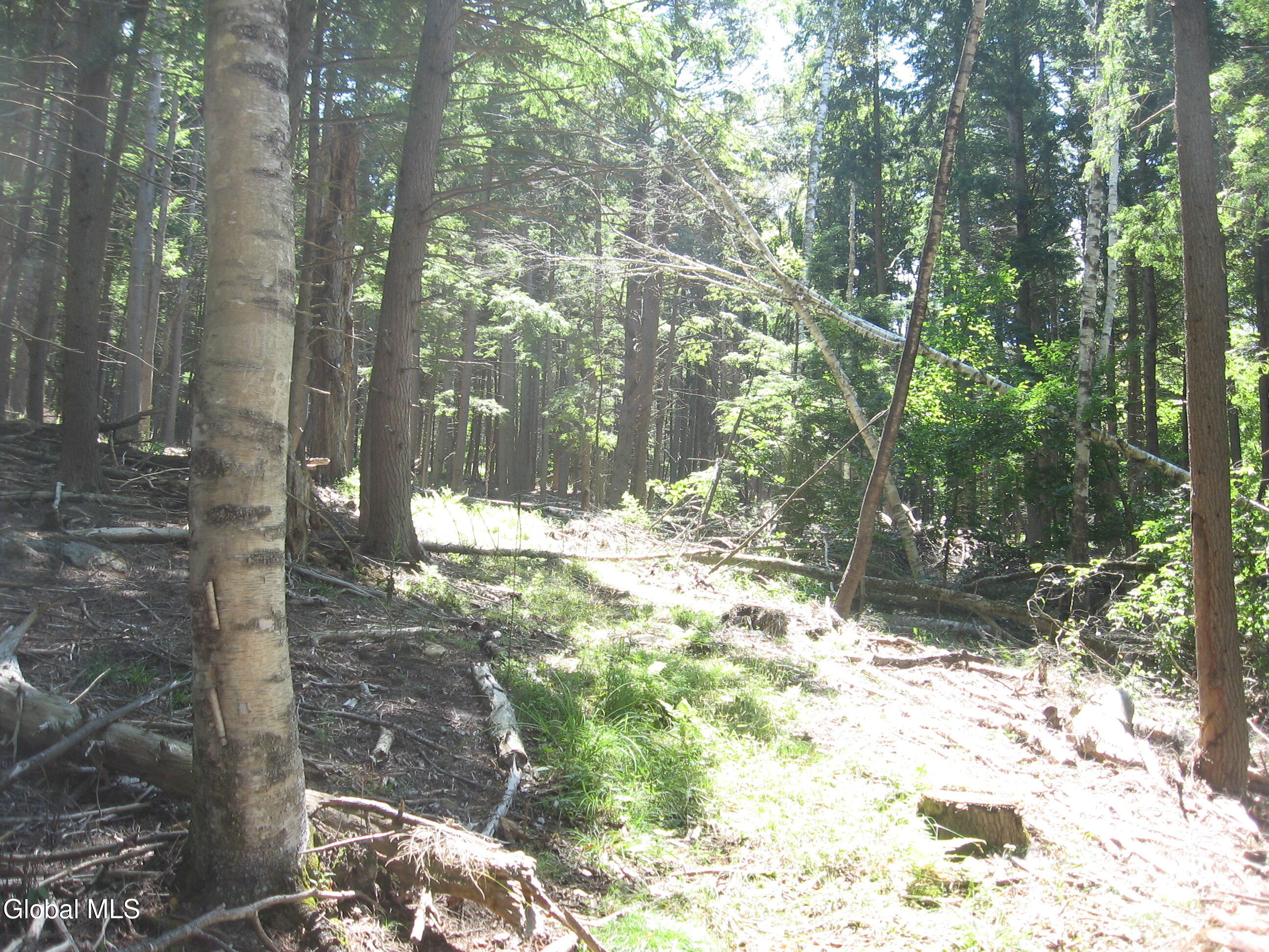 1260 Valentine Pond Road Horicon, NY 12808 - Photo 11 of 17 IMG_9032