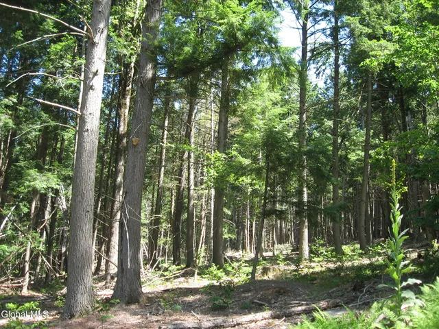 $640,000 | 1260 Valentine Pond Road, Horicon, NY 12808