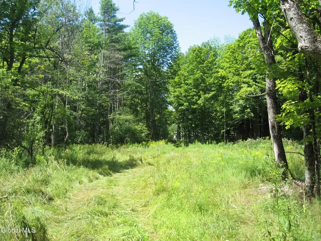 $640,000 | 1260 Valentine Pond Road, Horicon, NY 12808