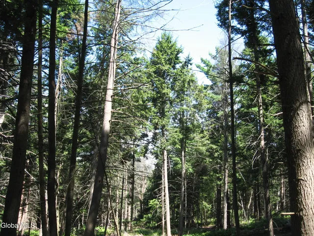 $640,000 | 1260 Valentine Pond Road, Horicon, NY 12808