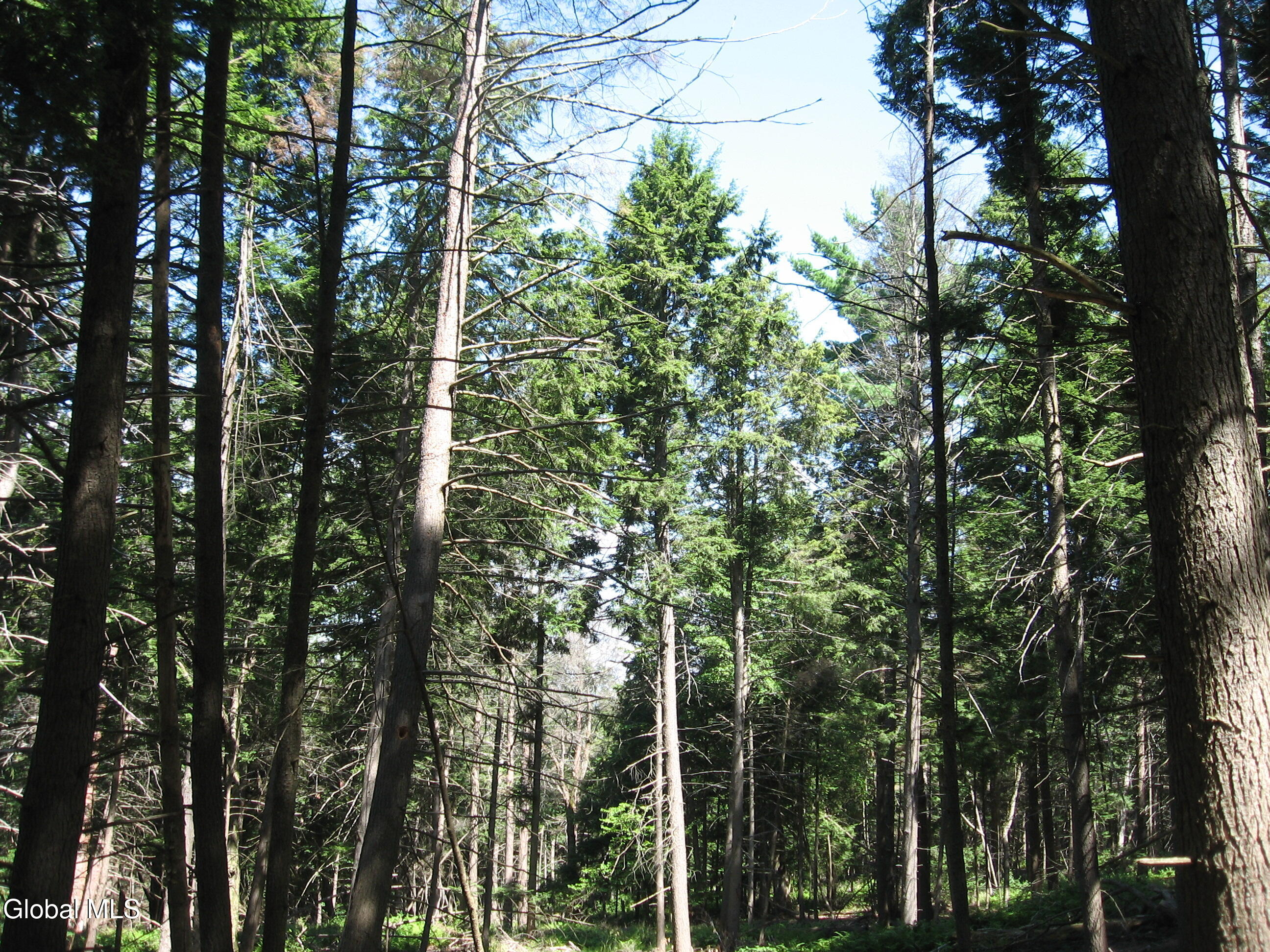 1260 Valentine Pond Road Horicon, NY 12808 - Photo 4 of 17 IMG_9012