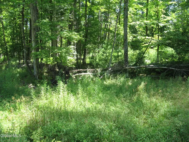 $640,000 | 1260 Valentine Pond Road, Horicon, NY 12808