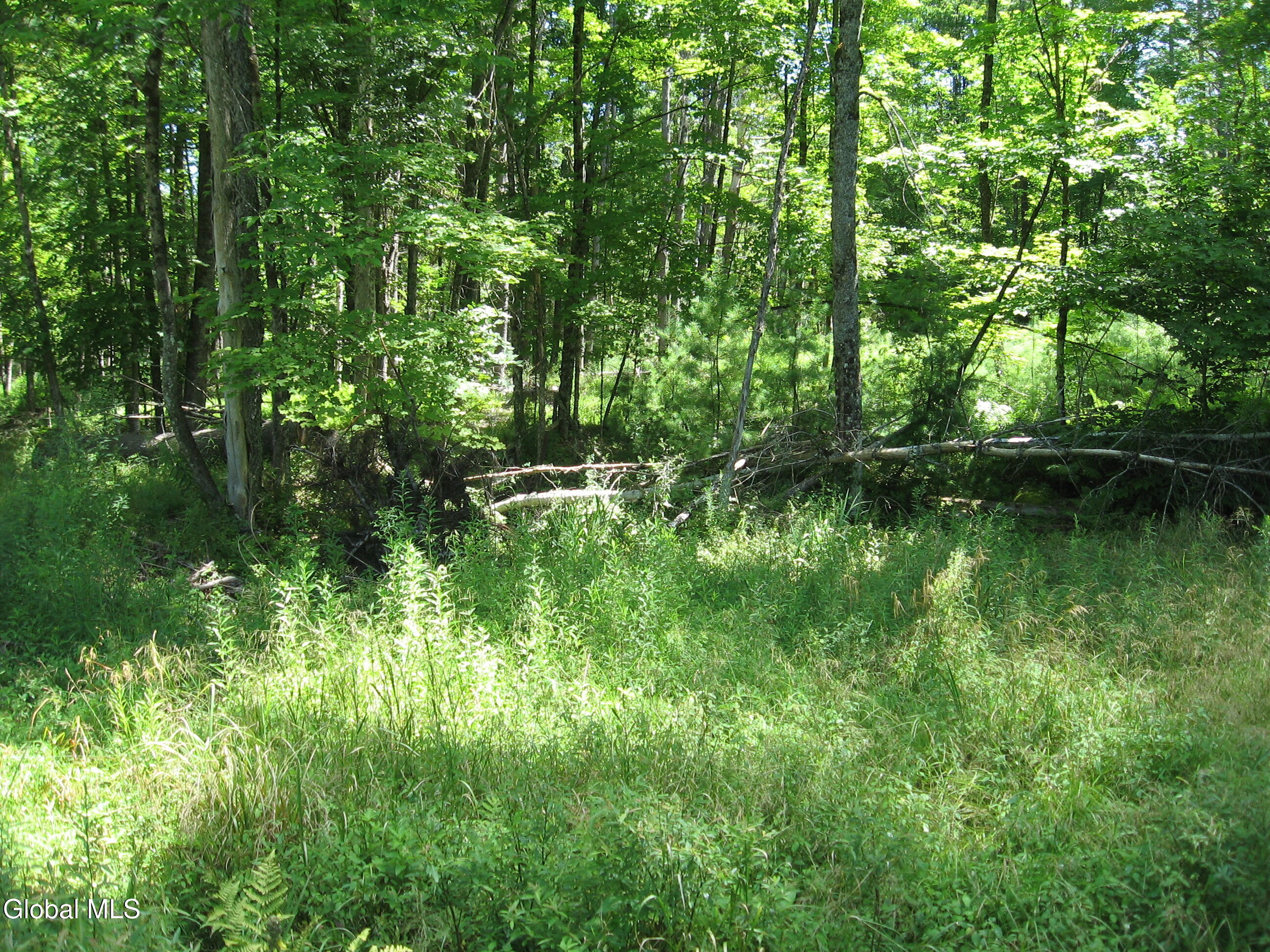 1260 Valentine Pond Road Horicon, NY 12808 - Photo 5 of 17 IMG_9043