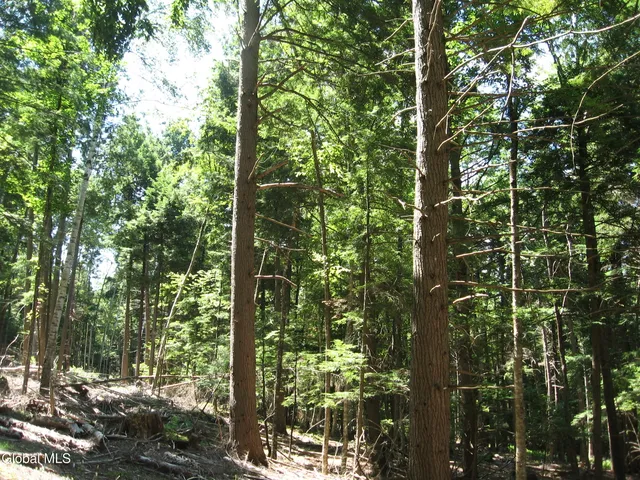 $640,000 | 1260 Valentine Pond Road, Horicon, NY 12808