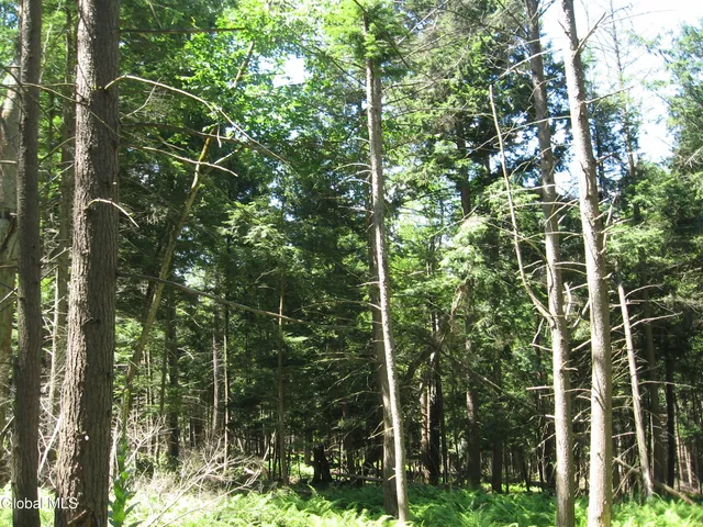 $640,000 | 1260 Valentine Pond Road, Horicon, NY 12808